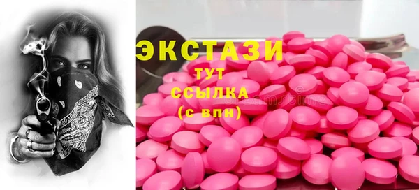 индика Дмитровск