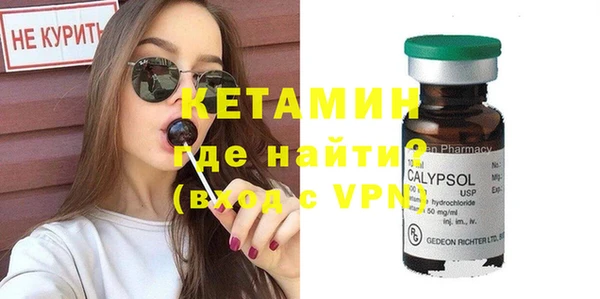 индика Дмитровск
