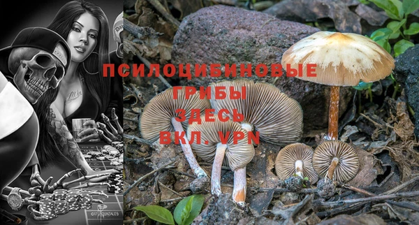 индика Дмитровск