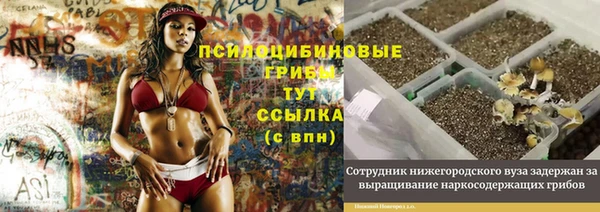 меф VHQ Дмитриев
