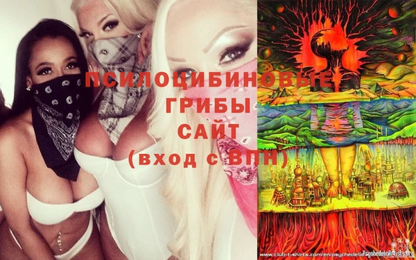 меф VHQ Дмитриев