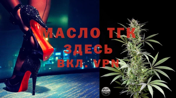 индика Дмитровск
