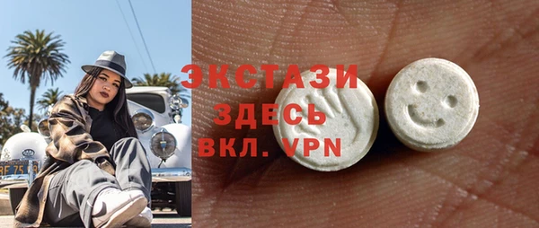 индика Дмитровск