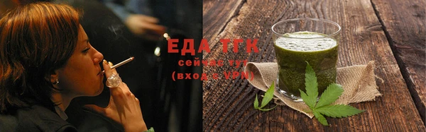 индика Дмитровск