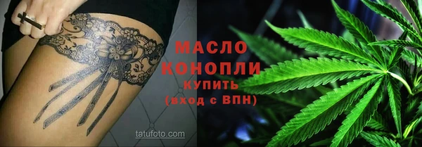 индика Дмитровск