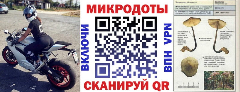 Псилоцибиновые грибы Psilocybe Пласт
